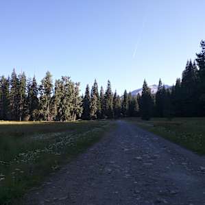 Peek of sawtooth drive in