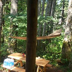 Snug in the woods.
