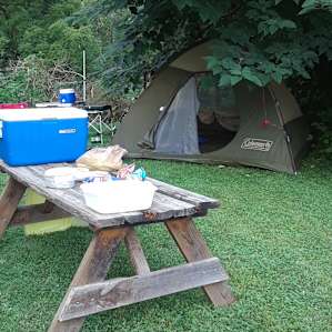 Nice shady campsite perfect for introverts.