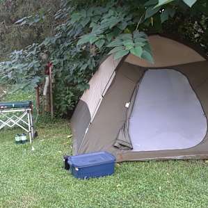 Perfect shady spot.