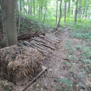 Permaculture Paradise