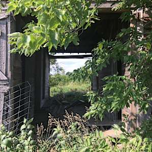 If I could passing....I’d paint this beautiful old barn doorway