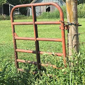Cool old gate at the entrance to the pig shelter.