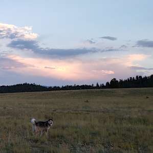 High Prairie Camp