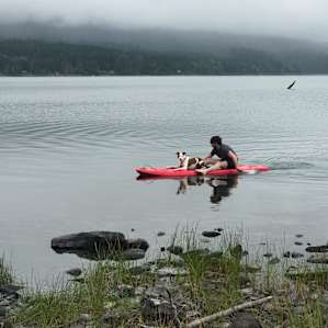 There is a paddle board and a small kayak to borrow