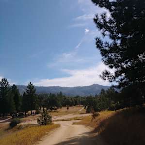 Photo on the trail through camp