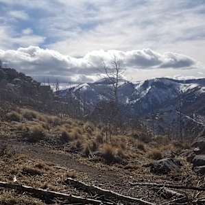 Watchtower with Sierra Blanca in the background - from Campsite. (copyright Jeff Rauland)