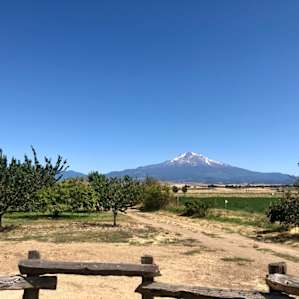 Certified organic, Belcampo Farms