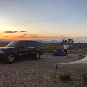 Silver Sunsets!