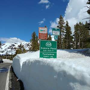 June 2019, on Sonora Pass, just above the Leavitt Meadows Campground.