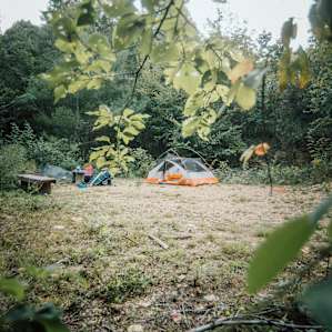 River View Camping on the New