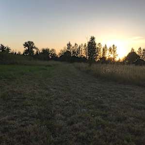 Peaceful Sunset