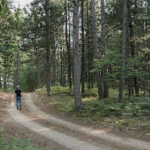 The driveway to the campsite makes for a relaxing beautiful hike