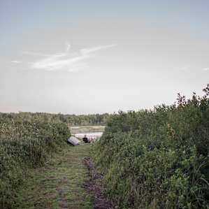 The walkway to the lake