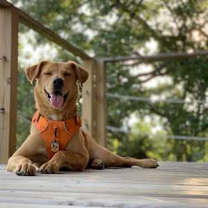 Horse Creek Adventures: Cabins