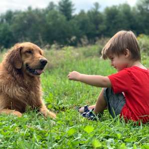 Claire the golden was a boy’s best friend