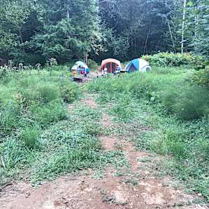 Rustic Cabin Site 1