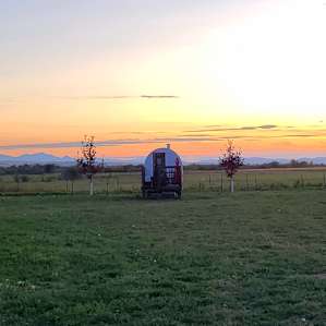 The Winona Shepherd Wagon