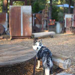 Sierra Circles Sculpture Garden