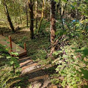 East Creek Art Retreat Camping