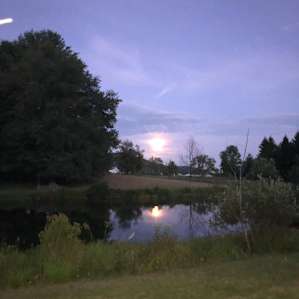 Pond Side Bell Tent