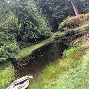The pond