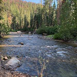 Sand Flat Campground