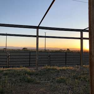 Jim Moss Arena and Camping