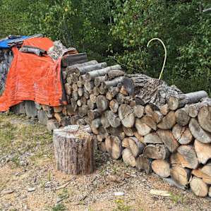 So much firewood!