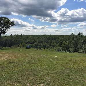 Looking down at meadow