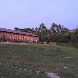 Looking up at horse barn
