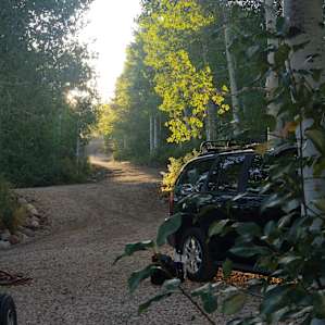 Sunrise on their country road