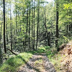 You hike down to the cabin for your stay and back up afterward. The hike up is a bit strenuous but 100% worth it! Matt brings your belongings down to the cabin in an ATV.