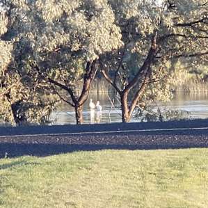 RV space with private river access