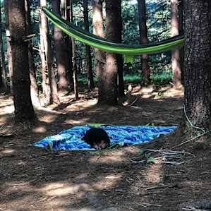Swaying in a hammock is so relaxing. They have some you can use at the creek, but I brought one of my own for the camp site.