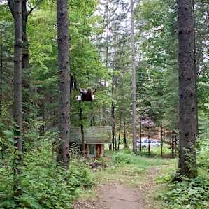 Gökotta (Swedish for "dawn picnic")