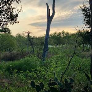 View from our site - dusk.