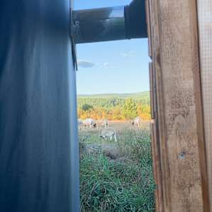 Thiselle Creek Farmstay