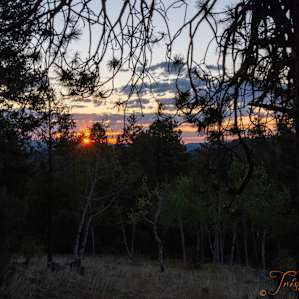 Pretty Sunrises