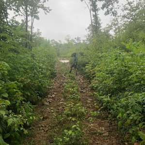 The Ridge at Clemons Pond Farm