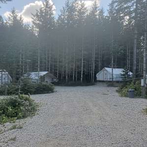 Wooded Wonder Tent Camping