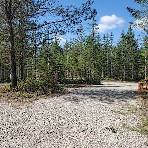 Wooded Wonder Tent Camping