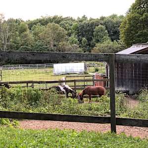 Honey Hollow Farmstay