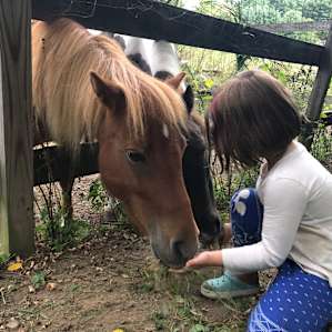 Honey Hollow Farmstay