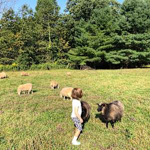 Honey Hollow Farmstay
