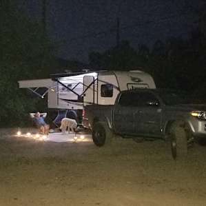 Camper at night. Woke up to wild turkeys running around in the am