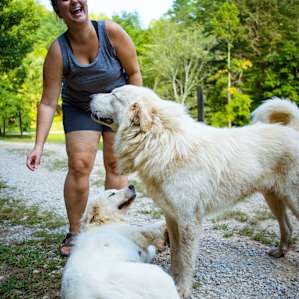 Saying hello to the pups