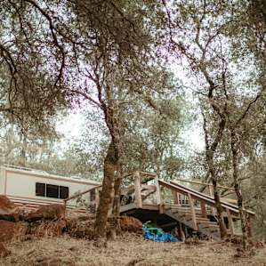 Glamp and Sleep to Creek Sounds