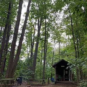 Hemlock Hideaway