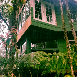 Treehouse Farm